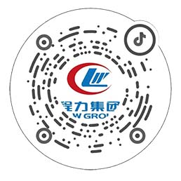 程力汽車(chē)抖音號(hào)